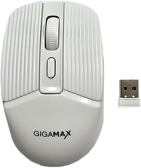 WIRELESS MOUSE g216