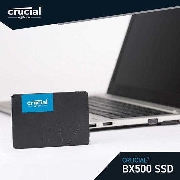 HD 240G - SSD - 2.5 - BX- CURCIAL